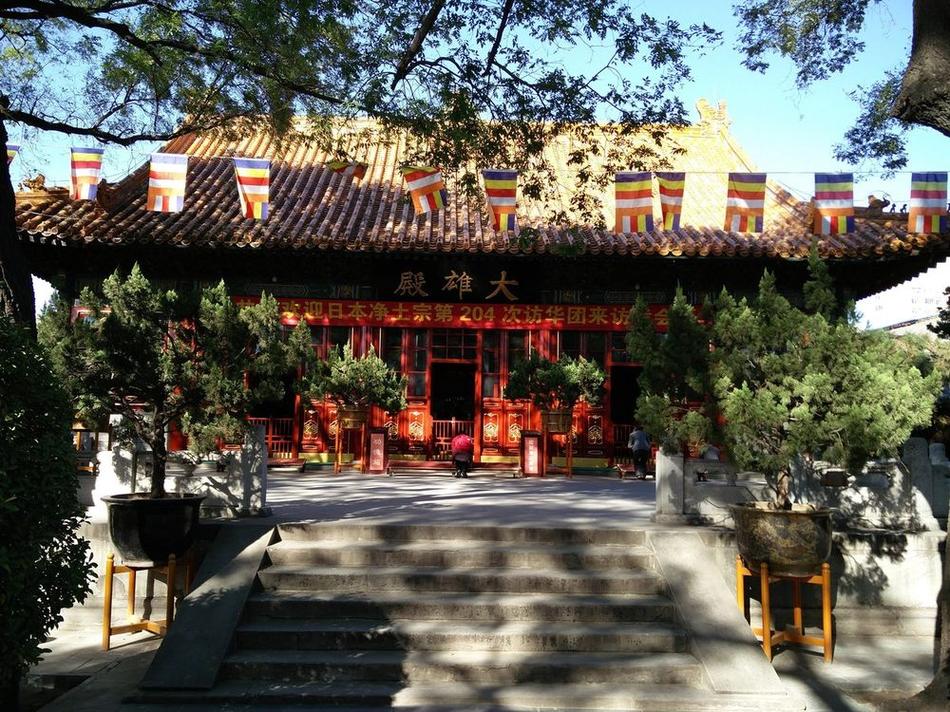【白塔红墙 · 阜景文脉】西四古刹到妙应白塔:京城诗意的屋脊漫步